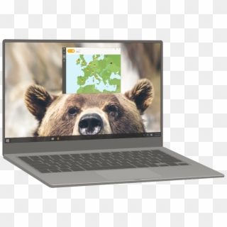 Browse 22 Countries - Bear Face Clipart