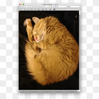 You Can Zoom In/out Or Make The Loupe Larger Using - Cat Yawns Clipart