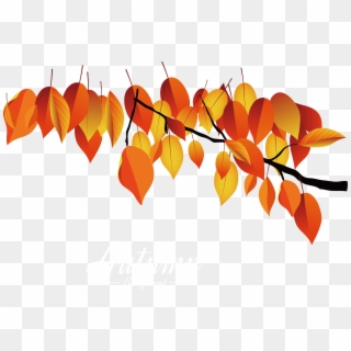 Autumn Leaves Clipart Dead Leaf - Maple - Png Download