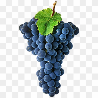Cabernet Sauvignon Is One Of The World's Most Widely - Cabernet Sauvignon Grape Png Clipart