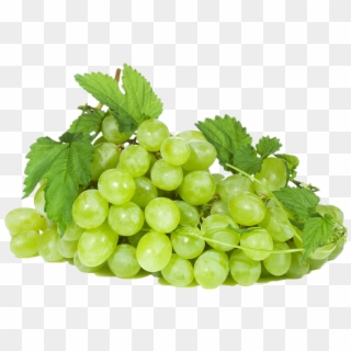 Green Grapes Png Image - Grape Clipart