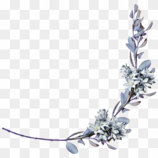 Lavender Clipart Laurel - Laurel Branch Png Transparent Png