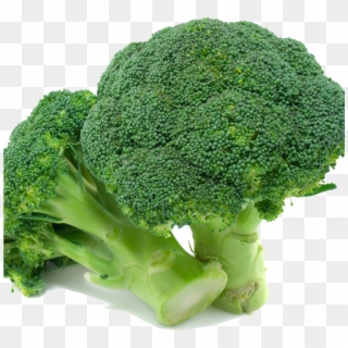 Naturally Treated Organic Broccoli Seeds (1000x1000), Clipart
