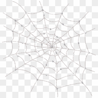 1000 X 1027 8 - Spider Web Clipart