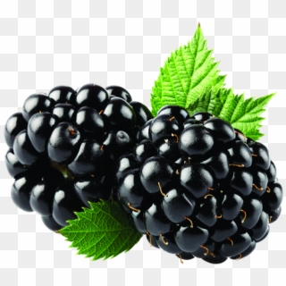 Blackberry Fruit Png Transparent Image - Blackberry Png Clipart
