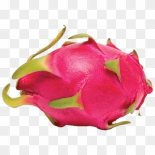 Whole Dragon Fruit Png - Chabutra Fruit In English Clipart
