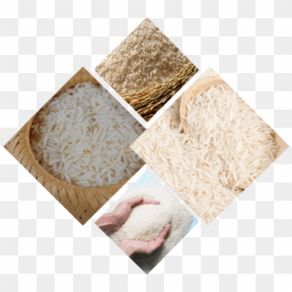 Origin Of Pakistani Basmati Rice For Export - Basmati Clipart