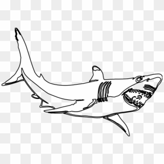 Bull Shark Clipart Realistic Shark - Clipart Black And White Shark - Png Download
