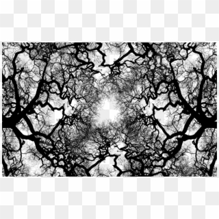 Share This Image - Black And White Trees Hd Clipart
