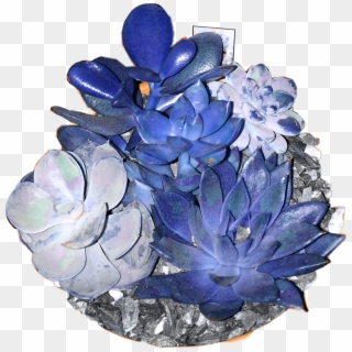 #cactus #blue #bluecactus #colors #dark #blueaesthetic - Dark Blue Aesthetic Png Clipart