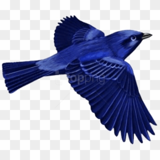 Free Png Download Dark Blue Bird Clip-art Png Images - Dark Blue Png Transparent Png