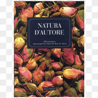 Picture Of Natura D'autore - Natural Foods Clipart