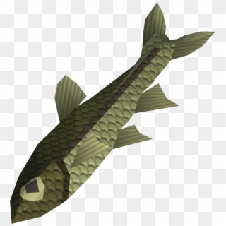 Origami Clipart