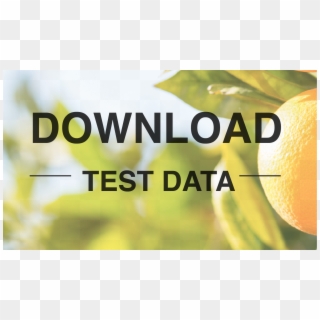 Download Rga Rapid Growth Activator Test Data - Poster Clipart