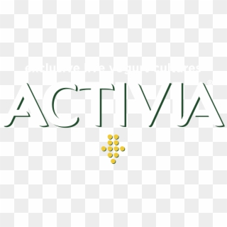 Activia Logo - Graphic Design Clipart