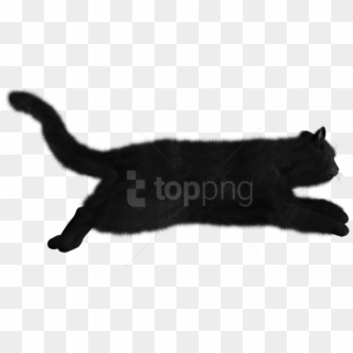 Free Png Download Cat Png Images Background Png Images - Cat Running Png Clipart