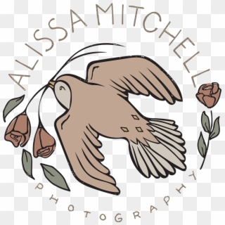 Alissa Mitchell Photography Clipart