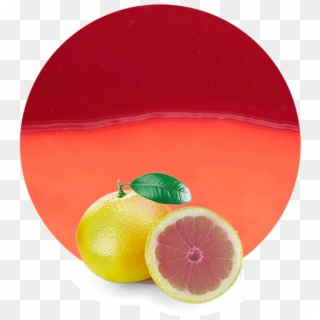 Com/wp Grapefruit Concentrate - Rangpur Clipart