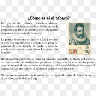 Recomienda El Tabaco Como Cura Para 36 Enfermedades, - Jean Nicot Clipart