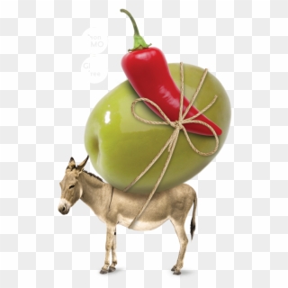 Ingredients - - Donkeys Png Clipart