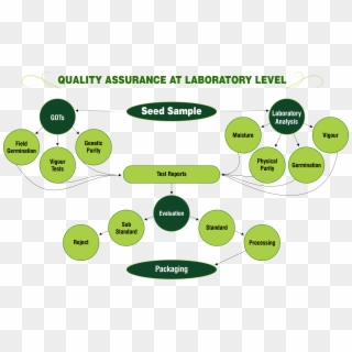 Quality Assurance At Laboratory Level Png - Quality In The Laboratory Clipart