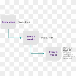 Diagram Clipart
