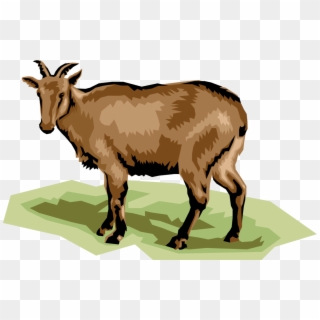 Vector Illustration Of Ruminant Mammal Deer - Goat Clipart