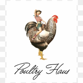 Poultry - Rooster Clipart