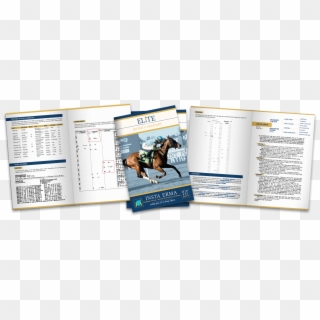 Buyers Passports Header - Stallion Clipart