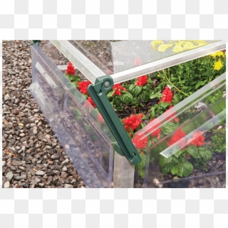Double Cold Frame Greenhouse - Greenhouse Clipart