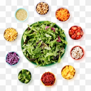 Salad Bar - Garden Salad Clipart