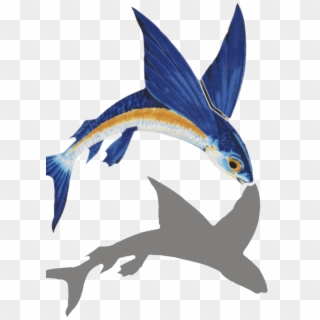 Little Tile Inc - Flying Fish No Background Clipart