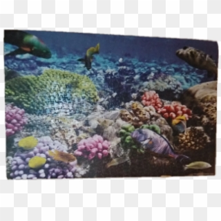 Puzzle Underwater Fish Freetoedit - Red Sea Clipart