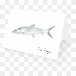 Transparent Bone Fish - Striper Bass Clipart