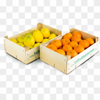 Combinación De Limones Y Mandarinas - Rangpur Clipart
