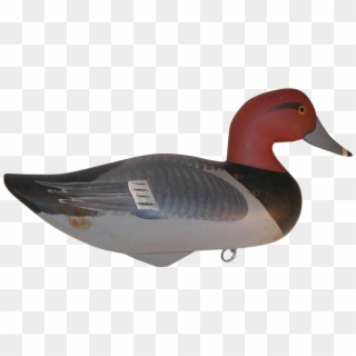 Contemporary Carved Wood Redhead Duck Decoy By Jim - Canvasback Duck Clipart