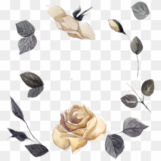 #roses #frame #floatingleaves #flowers #frame #border - Garden Roses Clipart