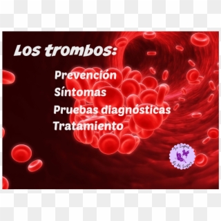 Trombos Y Trombosis - Blood Clot Clipart
