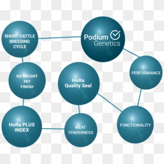 Diagram Clipart