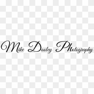 Mike Dooley Photography - Calligraphy Clipart