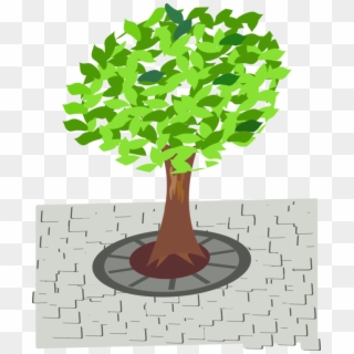 Street Computer Icons Arbre D'alignement Woody Plant - Tree In Street Clipart - Png Download