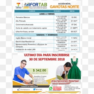 Gaviotas Norte 2 - Online Advertising Clipart