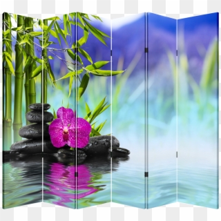 6 Panel Folding Screen Canvas Divider- Hot Stone & - Background Nature Bamboo Water Clipart