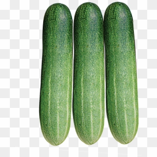 The Product Is Already In The Wishlist Browse Wishlist - Cucumber Clipart