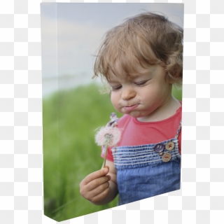 Options To Consider When You Make Photo Canvas Art - Toddler Clipart