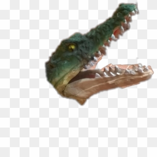 #cocodrilo - Saltwater Crocodile Clipart