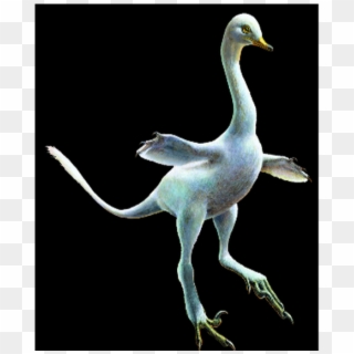 Dino Duck Clipart