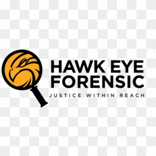 Hawkeye Clipart Hawk Eye - Png Download