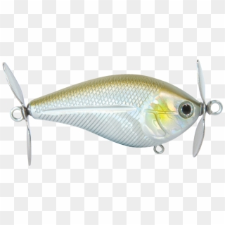 Spinmaster - Bait Fish Clipart