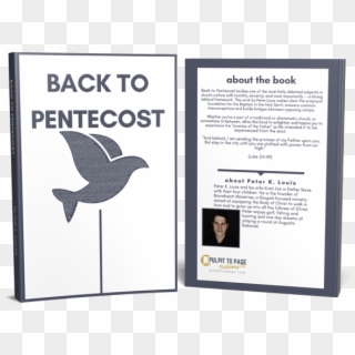 Back To Pentecost - Seabird Clipart